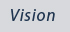Vision